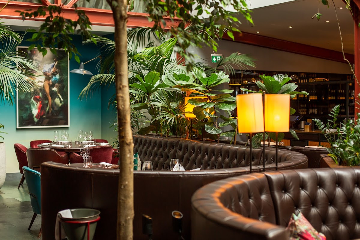 Bluebird Chelsea — Chelsea