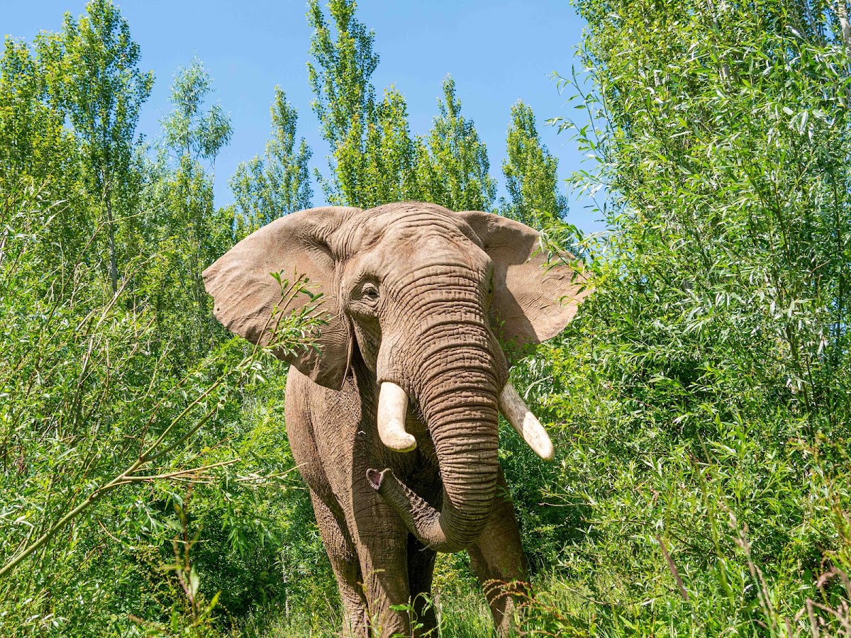 Noah's Ark Zoo Farm — Clevedon