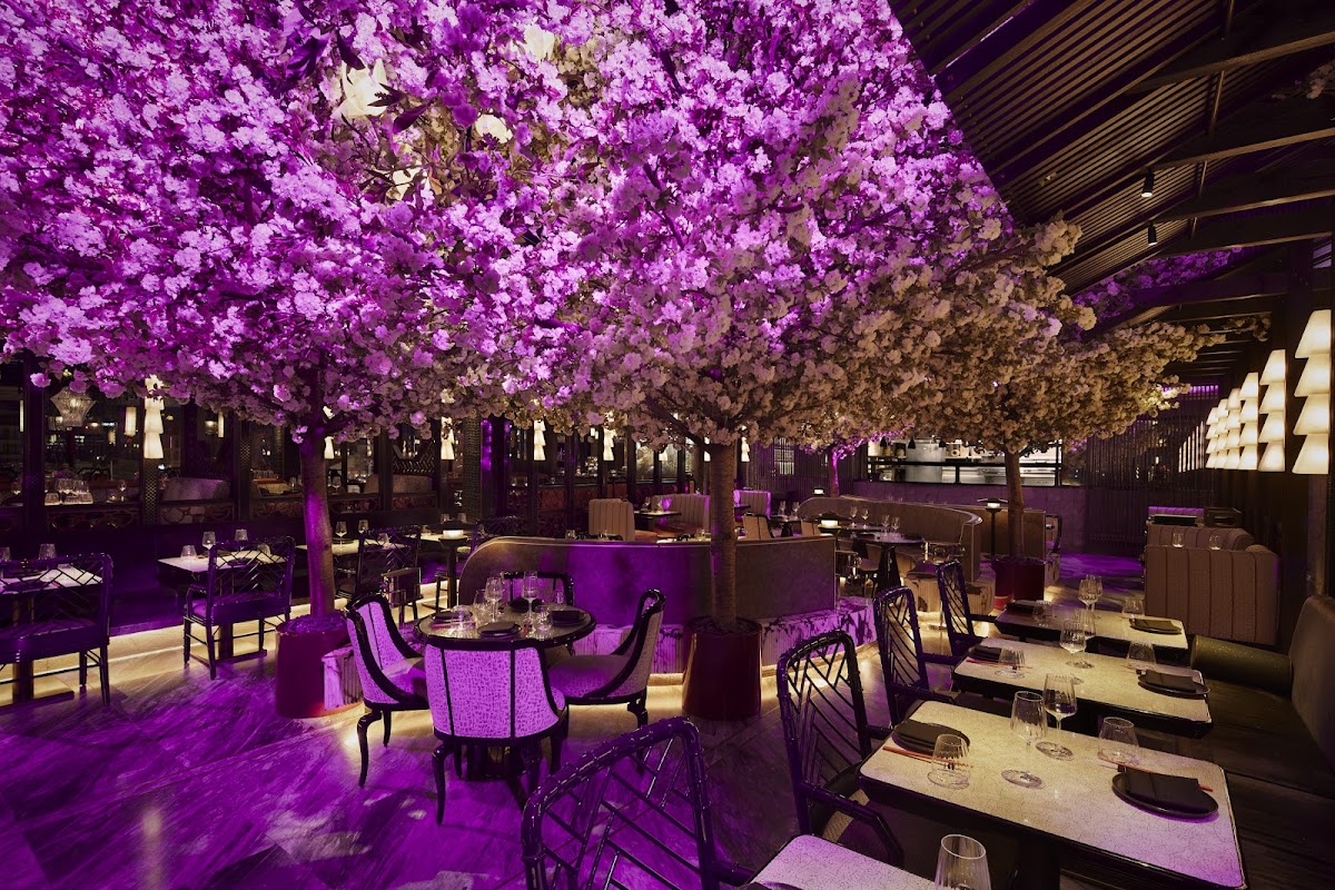 Tattu London — Covent Garden