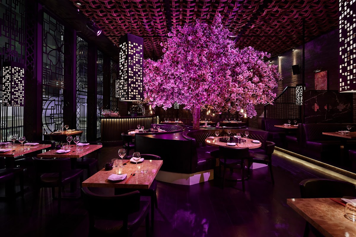 Tattu Manchester — Manchester